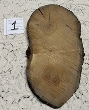 Rough Cut Live Edge Maple Wood Round Slice Slab 13 1