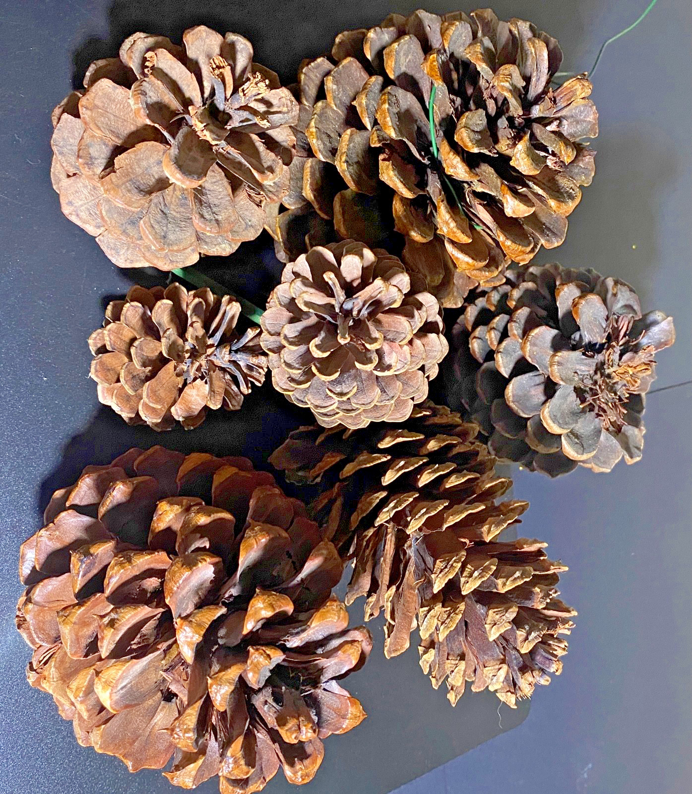 Assortment Vintage Pine Cone Gold Glitter Natural 8",7",6",5", 4",3",2"