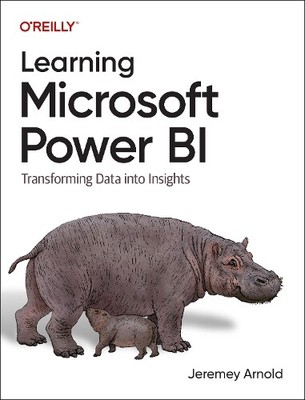 Jeremey Arnold Learning Microsoft Power Bi (Paperback)