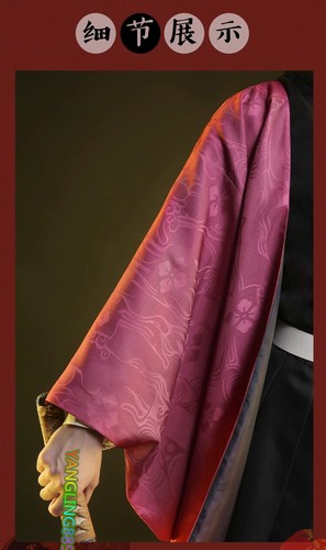 Tomioka Giyuu Cosplay Costume Demon Slayer Outfits Halloween Carnival Full Suit - Picture 12 of 23