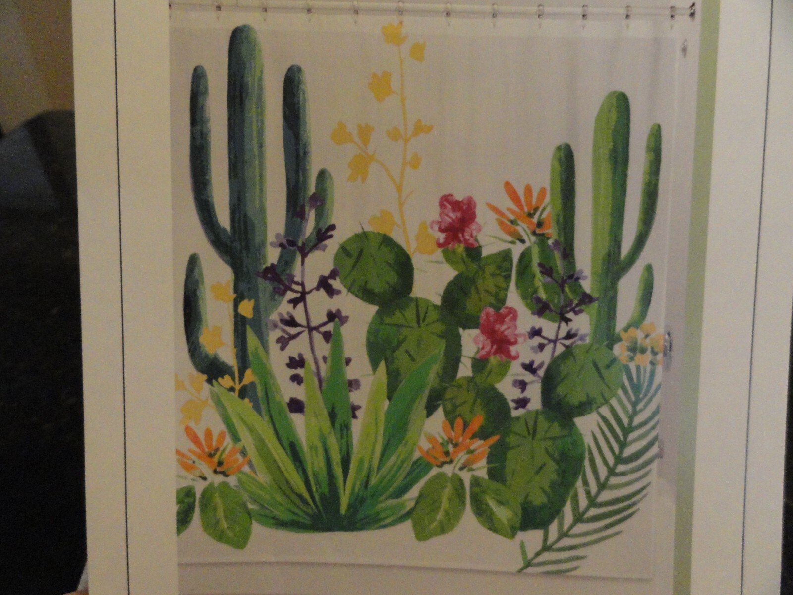 Picture 1 of 6