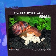 The Life Cycle of a Snail Library Binding Andrew Hipp