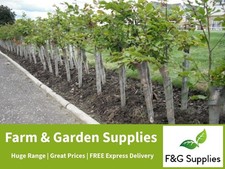 350 Spiral Tree Guards 60cm tall rabbit plant hedge protection 