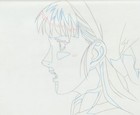 The Twelve Kingdoms Juuni Kokki Genga Douga Original Sketches Pierrot - Youko — photo 7