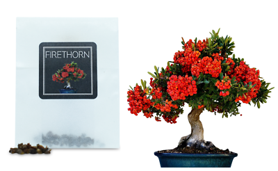 kunstbaum bambus Kunstpflanze Bambus 120 cm schnell günstig online kaufen main image 0