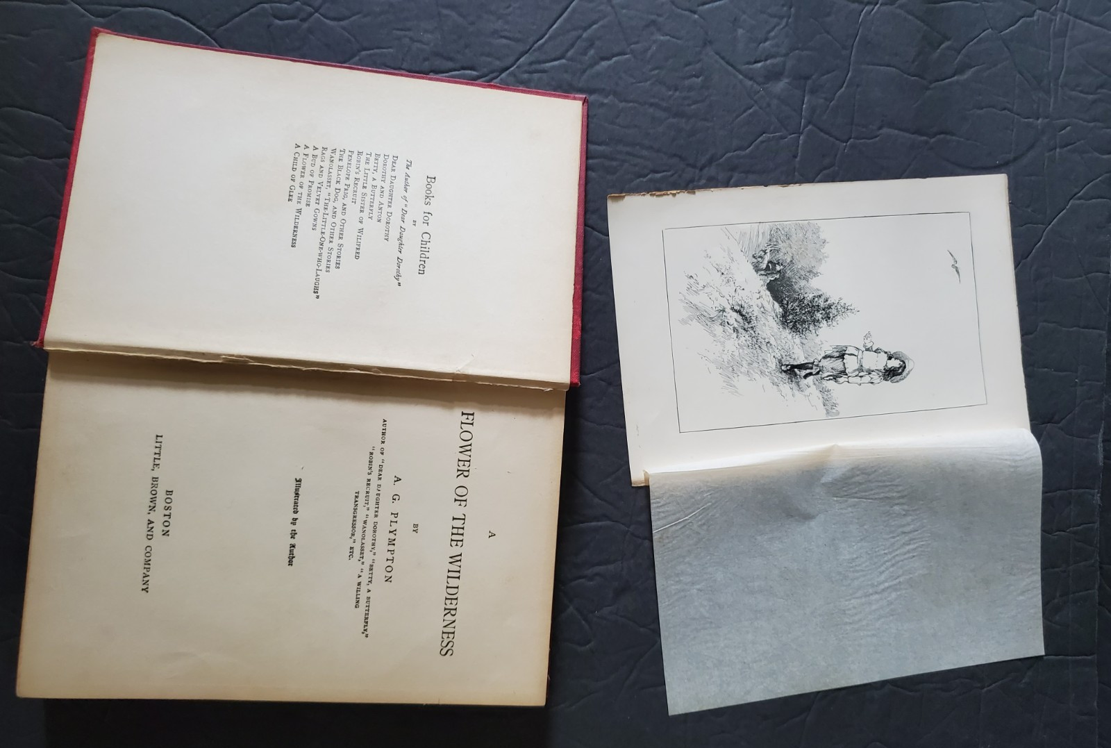 Flower of the Wilderness Book by A.G. Plympton, Copyright 1899, University Press