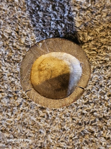 VINTAGE FOLK ART HANDMADE LOG WOOD DRUM GUATEMALA ETCHED PARROT & STAR PENTAGRAM - Picture 4 of 5