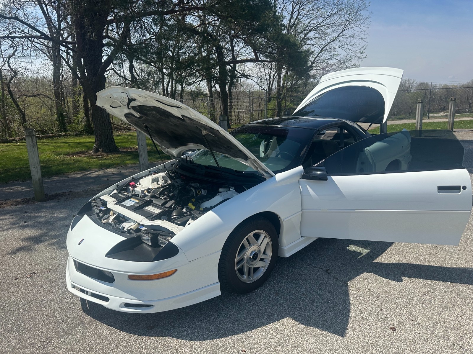 Picture 3 of 40