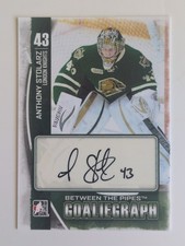 2013-14 ITG Between the Pipes Hockey Cards 19