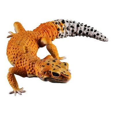 Bandai Gashapon Leopard Gecko Action Figure ADVANCE Tangerine 165mm 2021