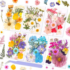 Pressed Dried Flowers 102Pcs Natural Mixed Colors   Real Preserved Petals for Cr