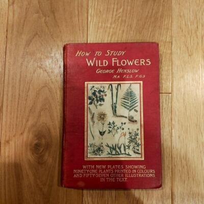 洋書 How to Study Wild Flowers How to Study Wild Flowers | eBay