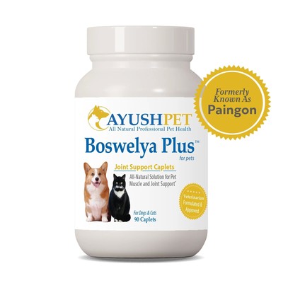 Ayush Herbs Pet Boswelya Plus Caplets - Muscle & Joint Support 90 Caplets