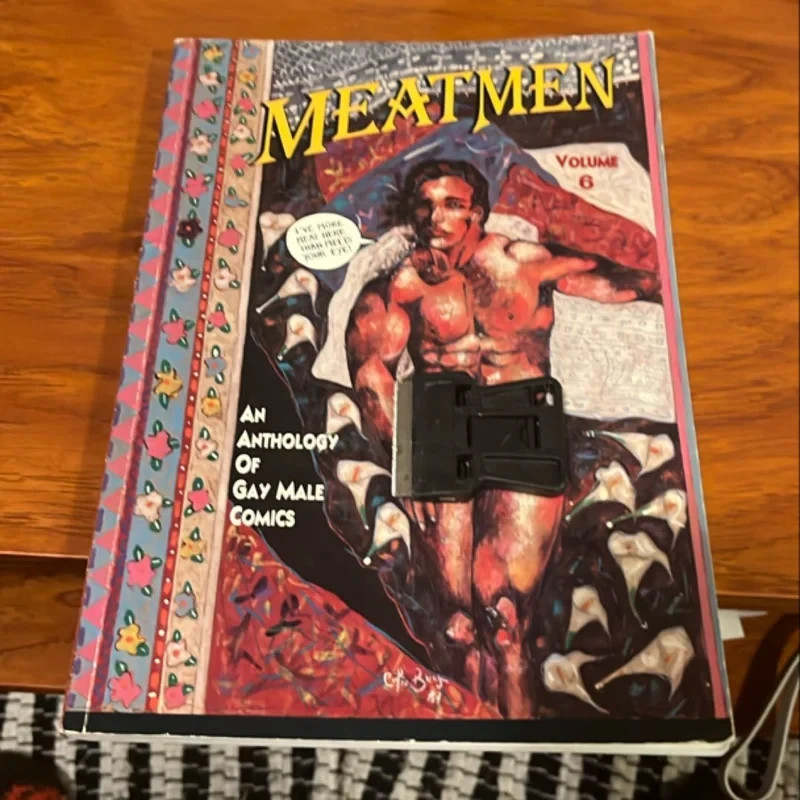 Meatmen Anthology Of Gay Male Comics Vol 6 Rare Vintage LGBTQIA Queer Gay