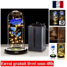 Rose Eternelle sous Cloche - Cadeau de Saint Valentin pour elle, Galaxy Rose ...