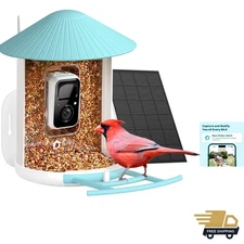by Birdfy Smart Bird Feeder with AI Camera Solar Powered, 2MP Wireless Wildbi...