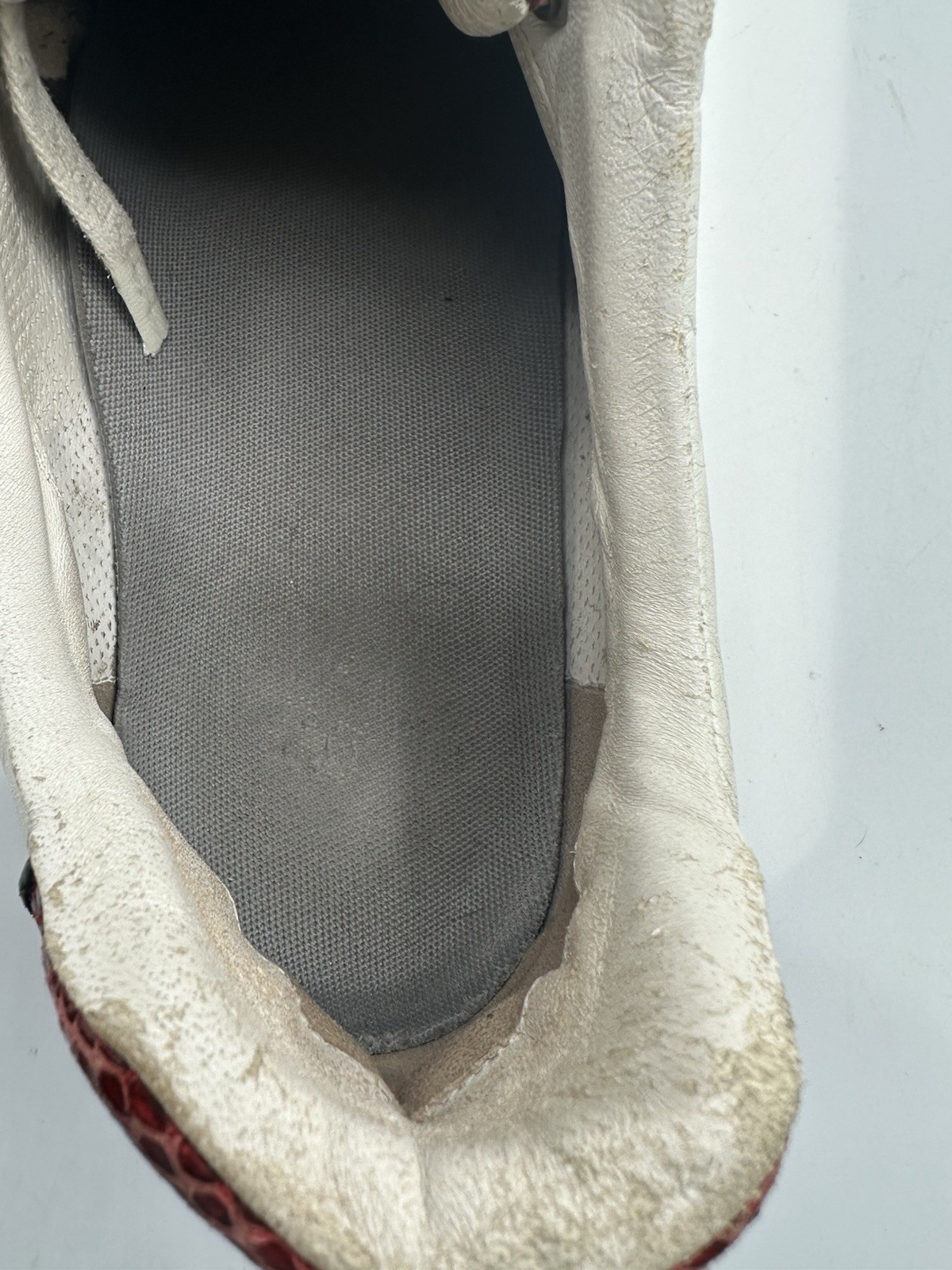 Gucci Interlocking GG Logo Red Python Low Top Sne… - image 15