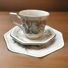 “Fresh Fruit” by Johnson Brothers 1 Teacup 1 Saucer 1 Butter Plate England