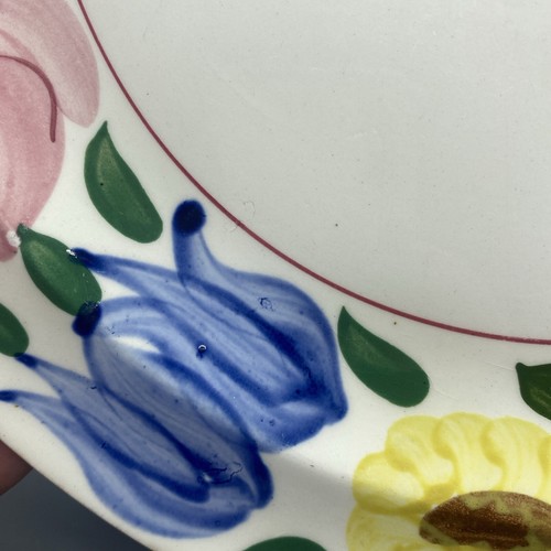 VTG Primrose Path Pattern Dinner Plate Blue Ridge Southern Potteries Inc. - Picture 8 of 10
