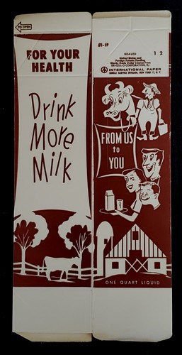 VINTAGE CHRYSTAL MOUNTAIN DAIRY CHOCOLATE MILK CARTON CLINTONVILLE, WIS - Bild 2 von 4