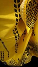 Bild 4 von 5
