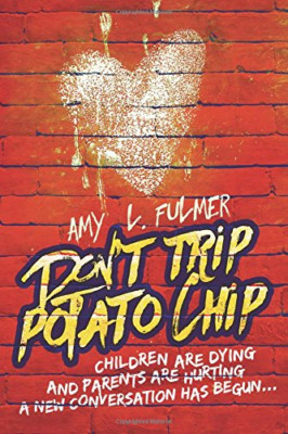 Don't Trip Potato Chip: Children are dying and parents  - Paperback NEW Fulmer,