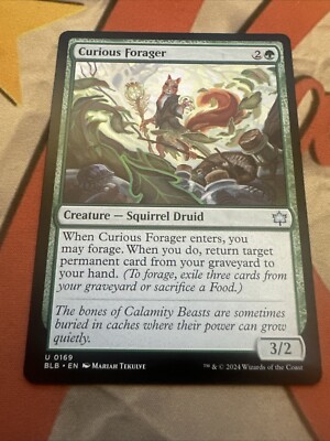 mtg forage cards MTG Curious Forager - Bloomburrow - Near Mint - Non Foil - Uncommon - 0169