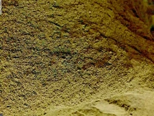 Mullein Leaf Herb Bulk Powder 1 2 3 4 5 lb Pound ounce oz  Certified Organic