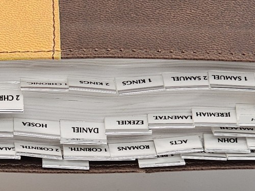 Zondervan NIV Church Bible Large Print Two-tone Soft Leather with Chapter Tabs - Picture 6 of 13