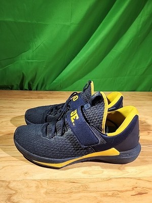 Jordan Trainer 3 Michigan College Navy/Amarillo AR1390-400 Men s Sizes 10-12