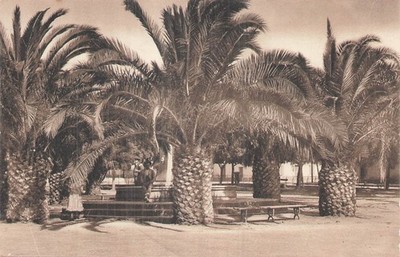 ca. d oran les palmiers 95068