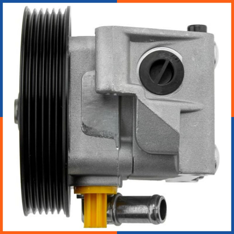 Pompe de direction assistée pour FORD - Modèle standard DSP148