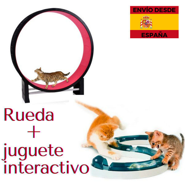 rueda para gatos ejercicio, juguete de cinta de correr silenciosa gatos