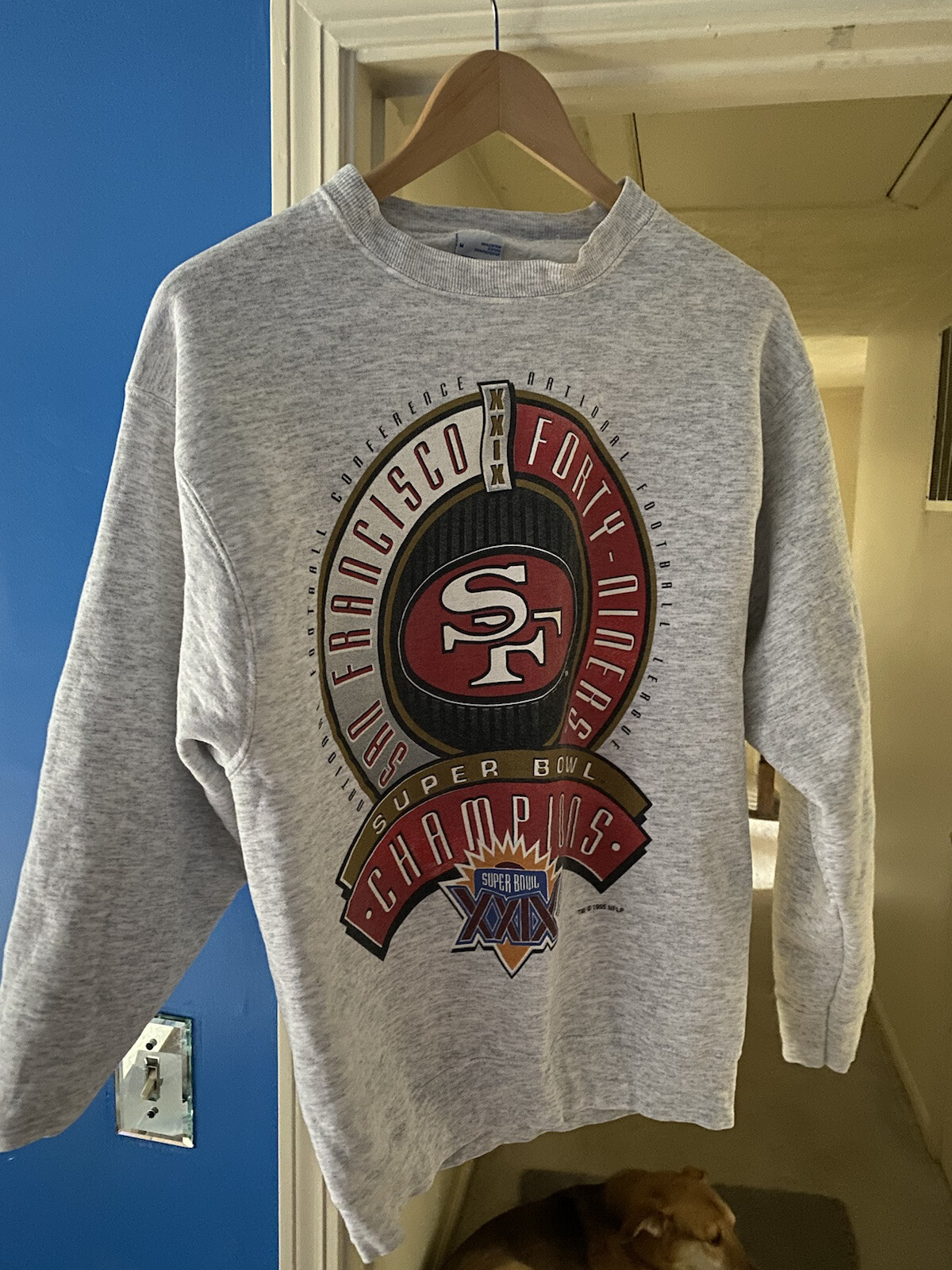 vintage San Francisco 49ers Crewneck 