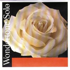 Wondertone Solo Violin String Set 4/4 E Ball End A-Steel/Aluminum