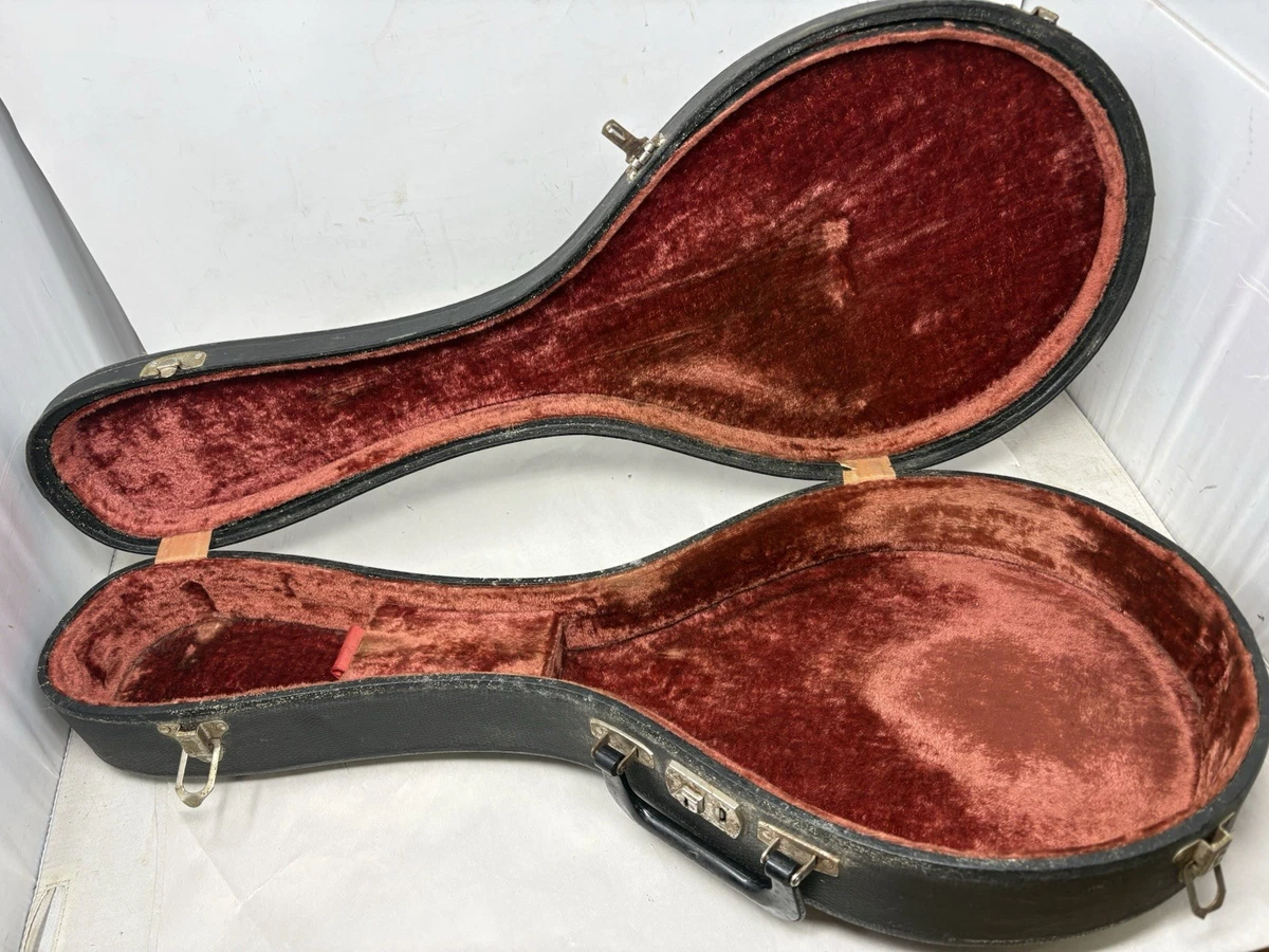 martin マンドリン　ジャンク Martin Vintage Mandolins for sale | eBay