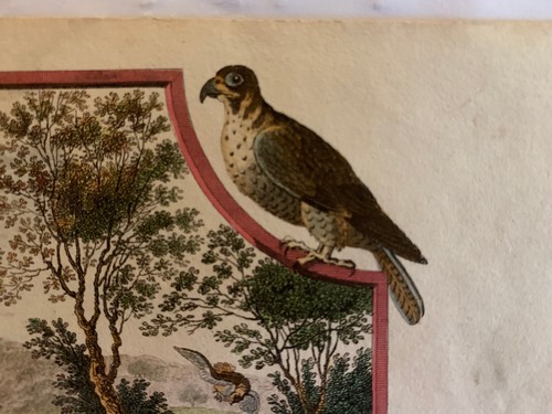 FALCONERIA Dogourc J. D. Versailles 1749-Paris 1825 CHASSE AU FAUCON - Foto 3 di 4