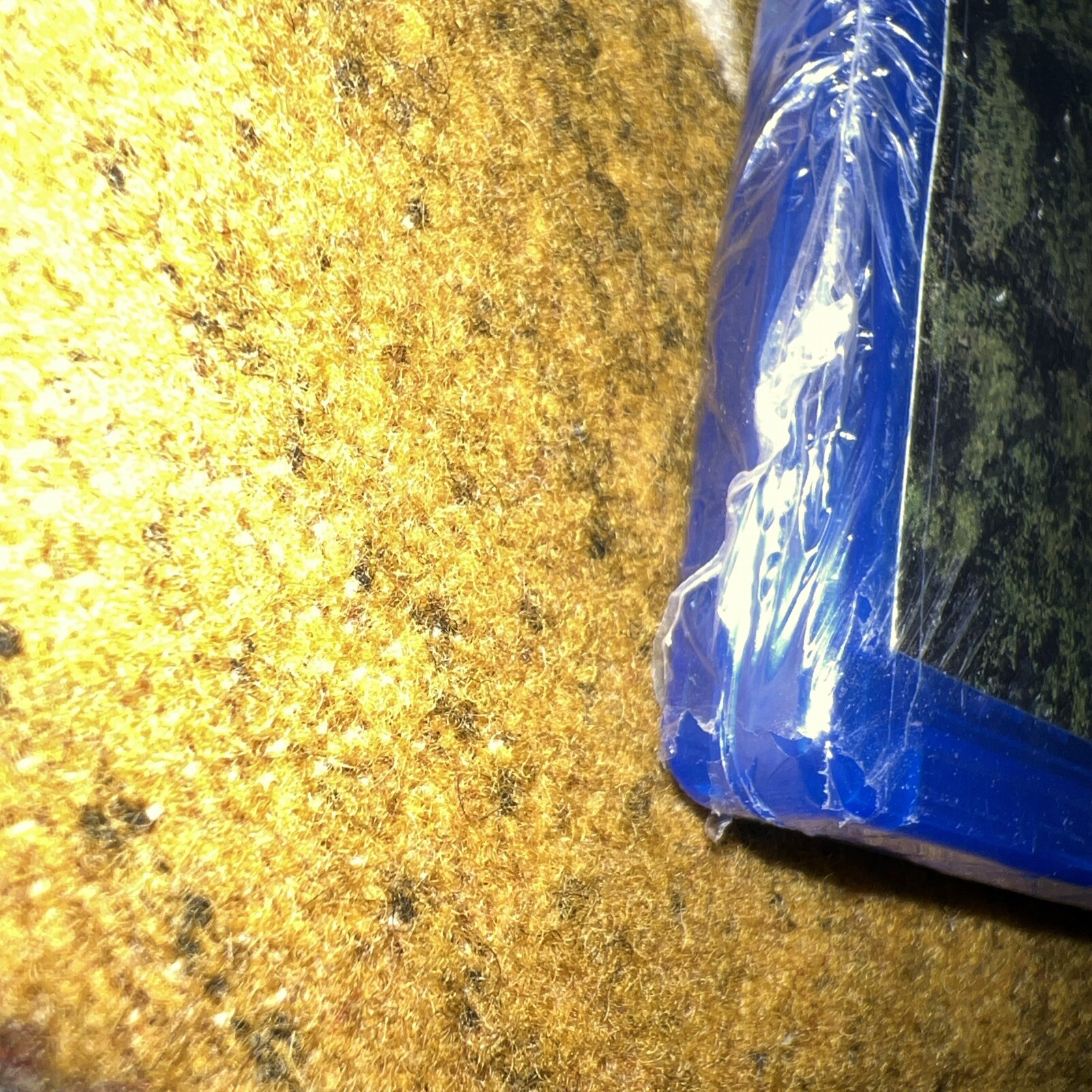 Picture 4 of 10