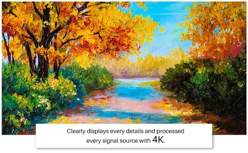 SYLVOX 43'' Outdoor TV 4K UHD Built-in Voice Assitant Weatherproof Partial Sun - Picture 8 of 12