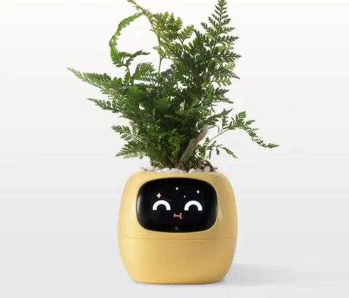 VASO DA FIORI Ivy smart 49 ricche espressioni ,7 sensori intelligenti e chip AI - Foto 5 di 11