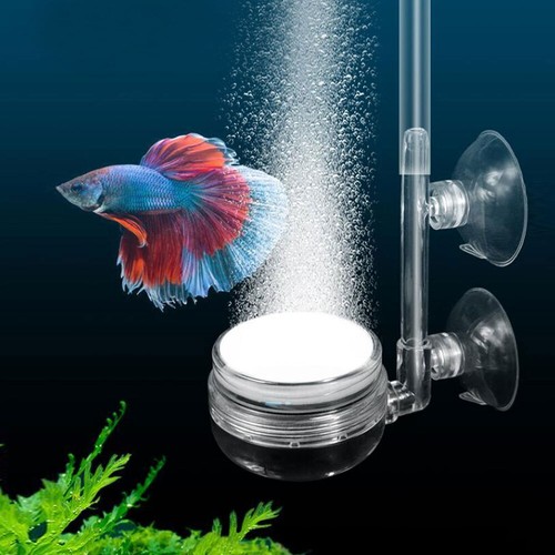 Mute Air Stone Bubble Stone Aquarium Air Atomizer Oxygen Pump Kit for Fish Tank - Picture 4 of 12