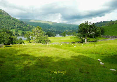 Photo 6x4 View from the bridleway up to Loughrigg Terrace, Rydal Town End c2021