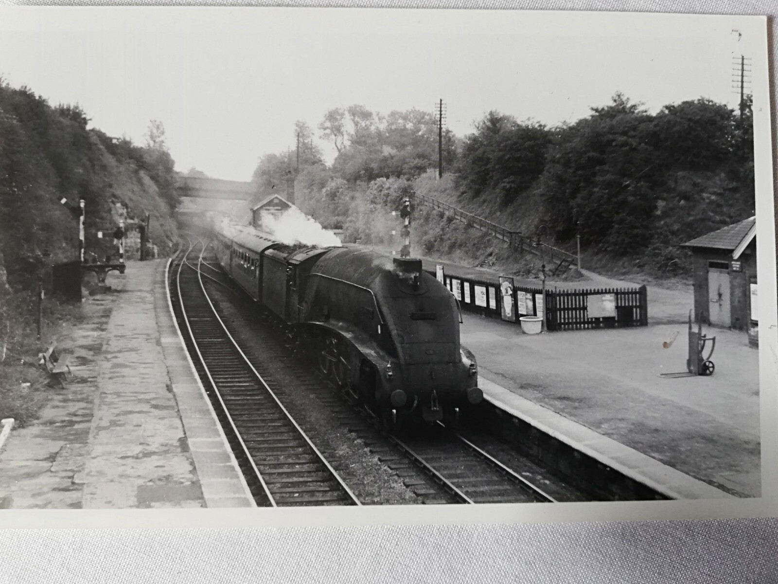 Picture 6 of 16