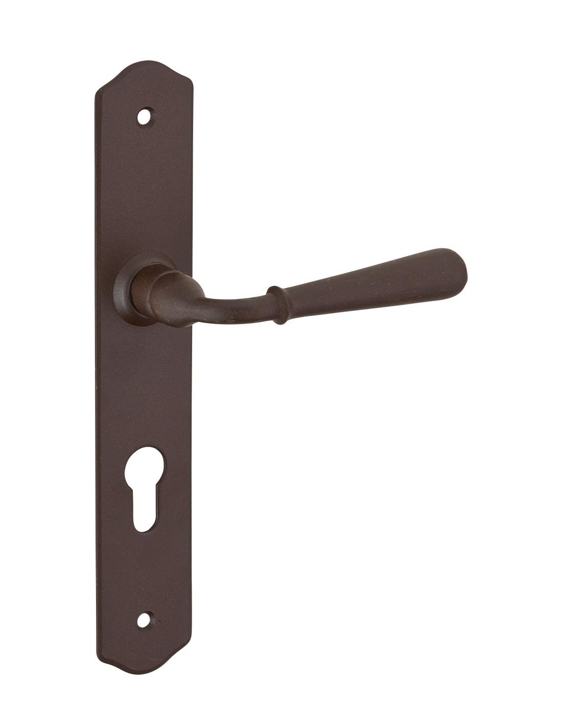 Poignée pour porte d'entrée Charon en acier rouillé avec plaque de 165mm