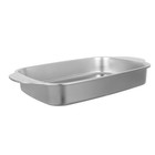 Fish Baking Tray: 316L Stainless Steel Roasting Pan - Meat Vegetables and