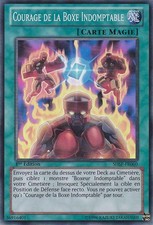Yu-Gi-Oh: Mut zum unbeugsamen Boxen - SHSP-FR060 - Super Rare - NM - DE