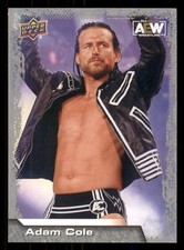 Adam Cole 2022 Upper Deck AEW #27
