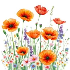 Digital picture Summer Meadow PNG printable file background  printable file