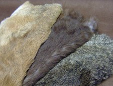 Kaninchenfell Pelz Hasen Fell Basteln Kaninchen Extra Große XL Einzelfelle 3