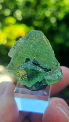 Fluorit & Pyrit, Milpo Mine, Cerro de Pasco, Peru